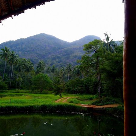Raintree Villa Dambulla Ngoại thất bức ảnh
