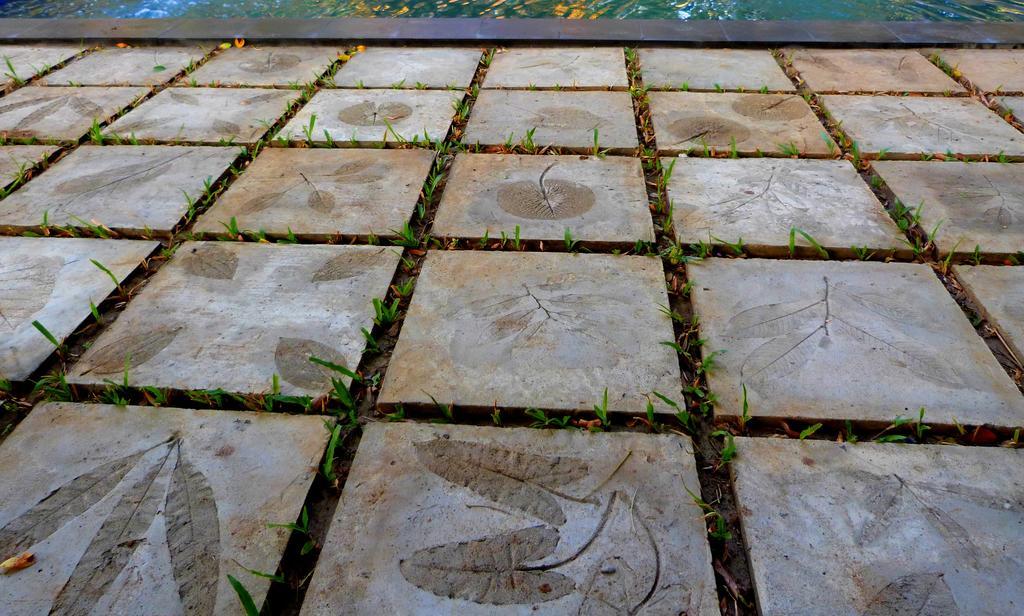 Raintree Villa Dambulla Ngoại thất bức ảnh