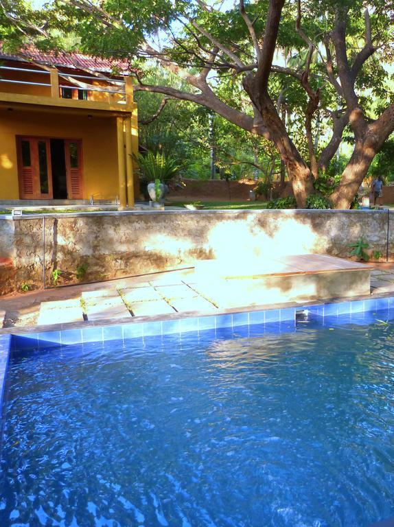 Raintree Villa Dambulla Ngoại thất bức ảnh