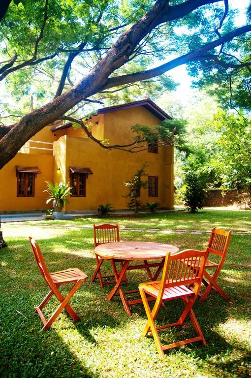Raintree Villa Dambulla Ngoại thất bức ảnh