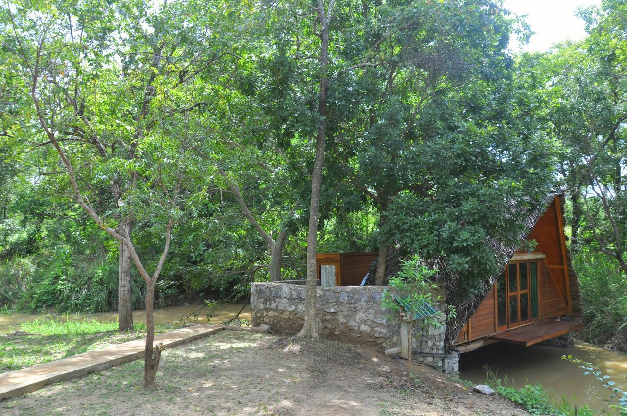 Raintree Villa Dambulla Ngoại thất bức ảnh