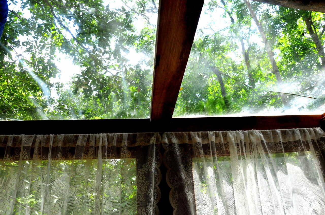 Raintree Villa Dambulla Ngoại thất bức ảnh