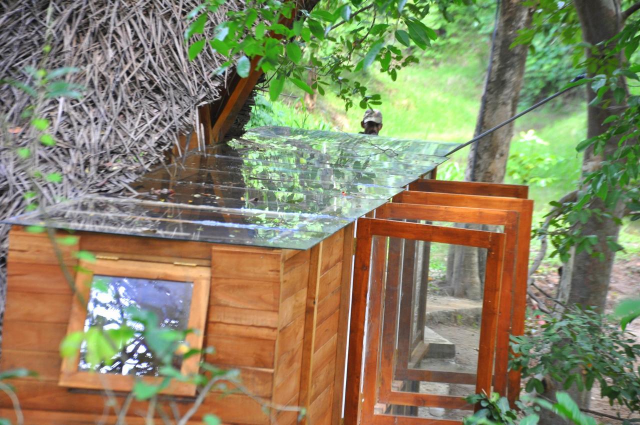 Raintree Villa Dambulla Ngoại thất bức ảnh