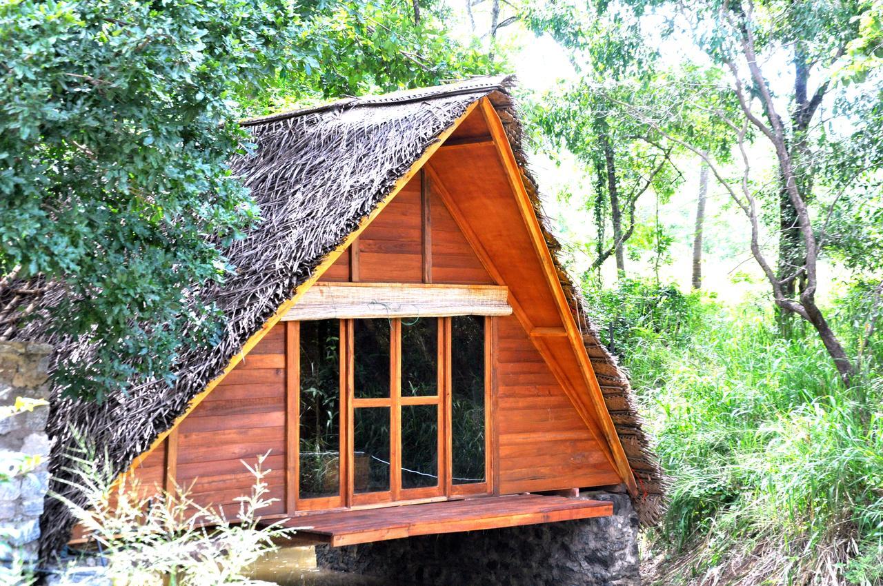 Raintree Villa Dambulla Ngoại thất bức ảnh