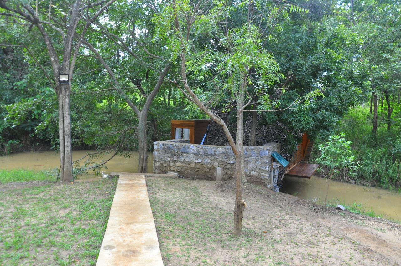 Raintree Villa Dambulla Ngoại thất bức ảnh