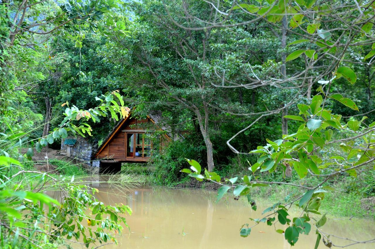Raintree Villa Dambulla Ngoại thất bức ảnh