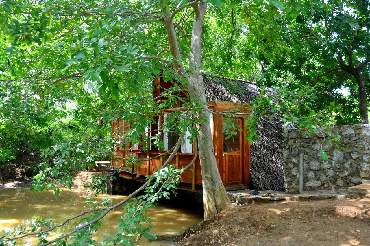 Raintree Villa Dambulla Ngoại thất bức ảnh