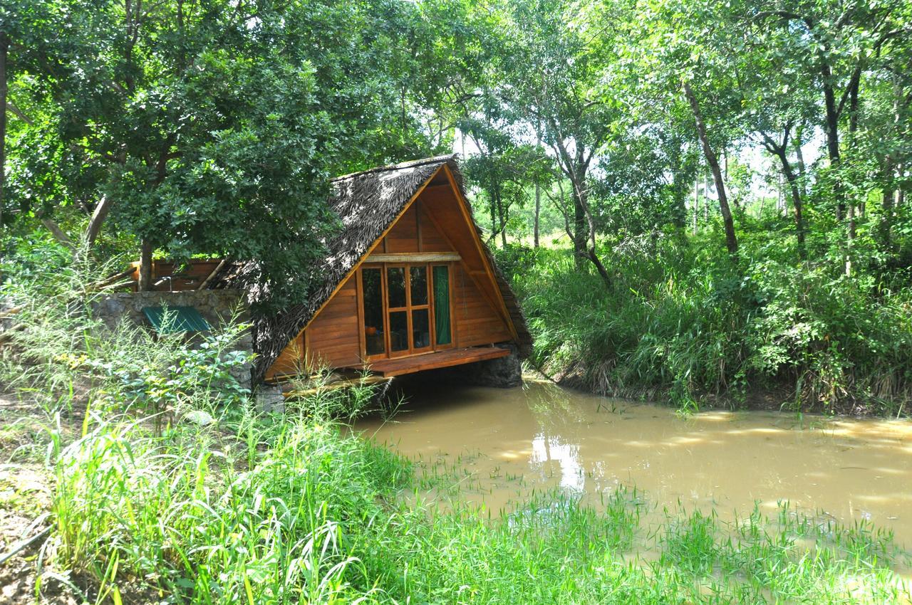 Raintree Villa Dambulla Ngoại thất bức ảnh