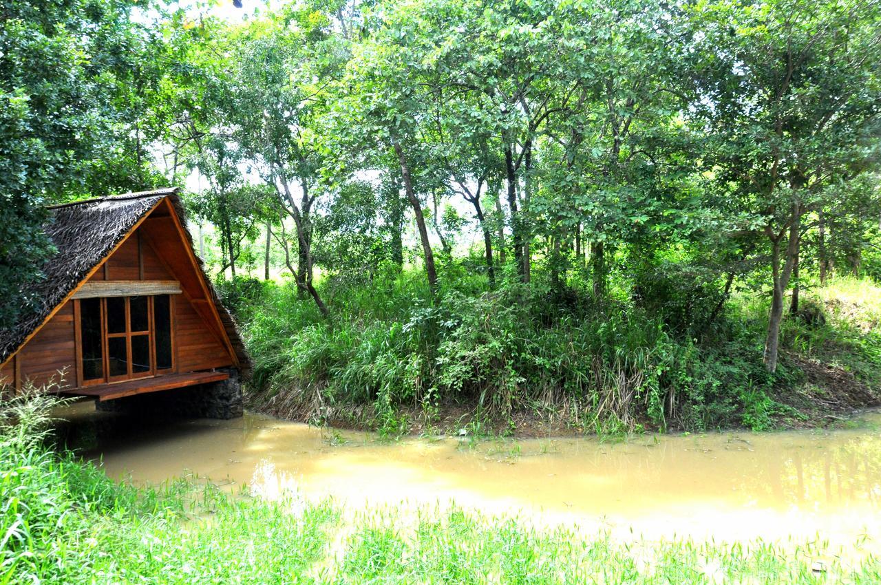 Raintree Villa Dambulla Ngoại thất bức ảnh
