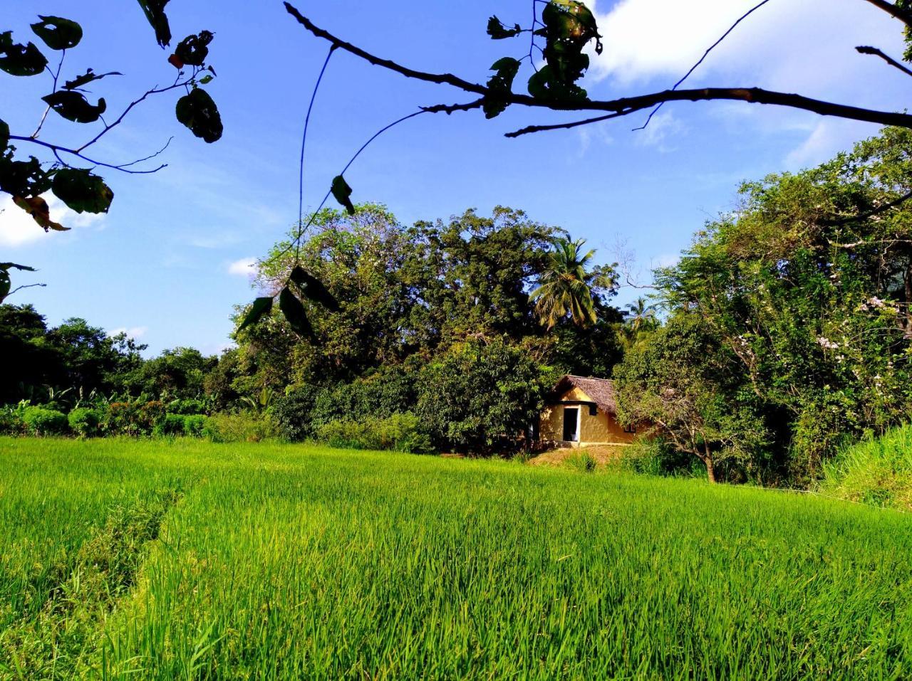 Raintree Villa Dambulla Ngoại thất bức ảnh