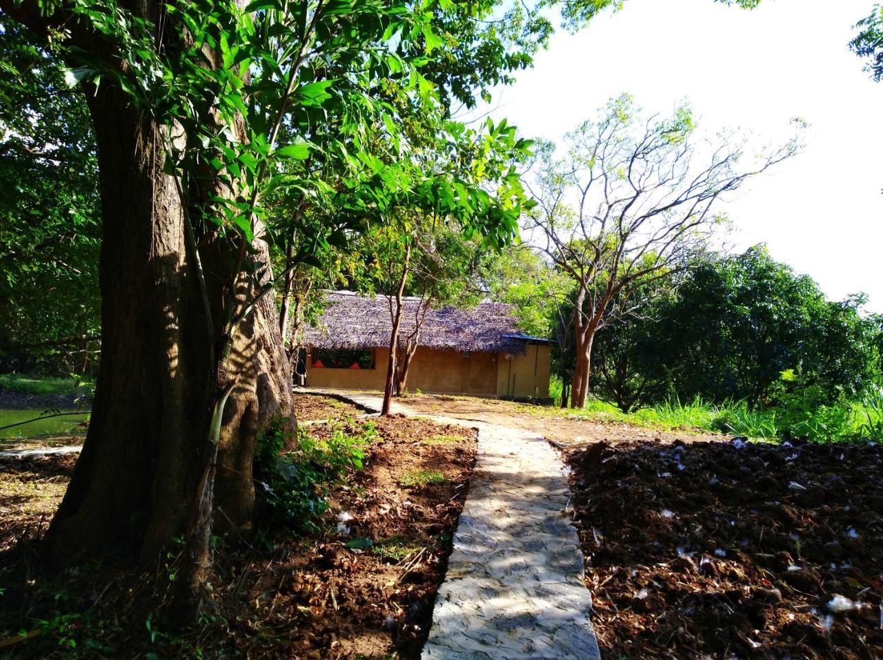 Raintree Villa Dambulla Ngoại thất bức ảnh