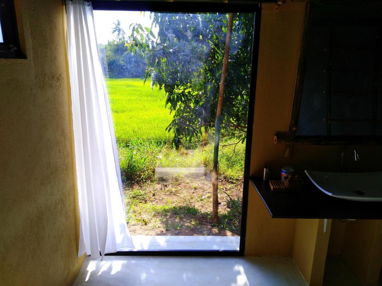 Raintree Villa Dambulla Ngoại thất bức ảnh