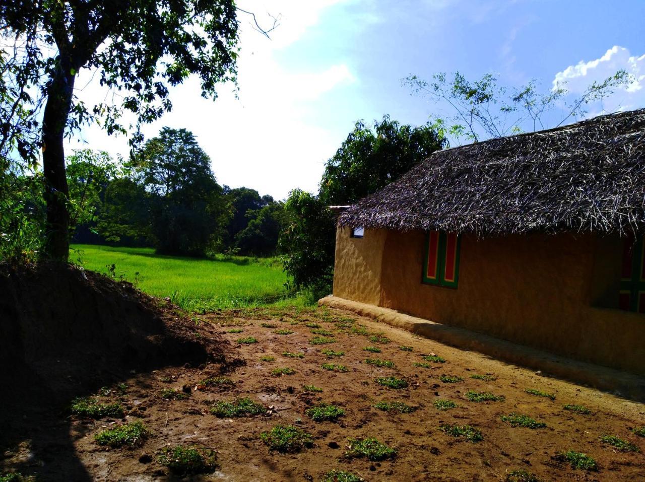 Raintree Villa Dambulla Ngoại thất bức ảnh