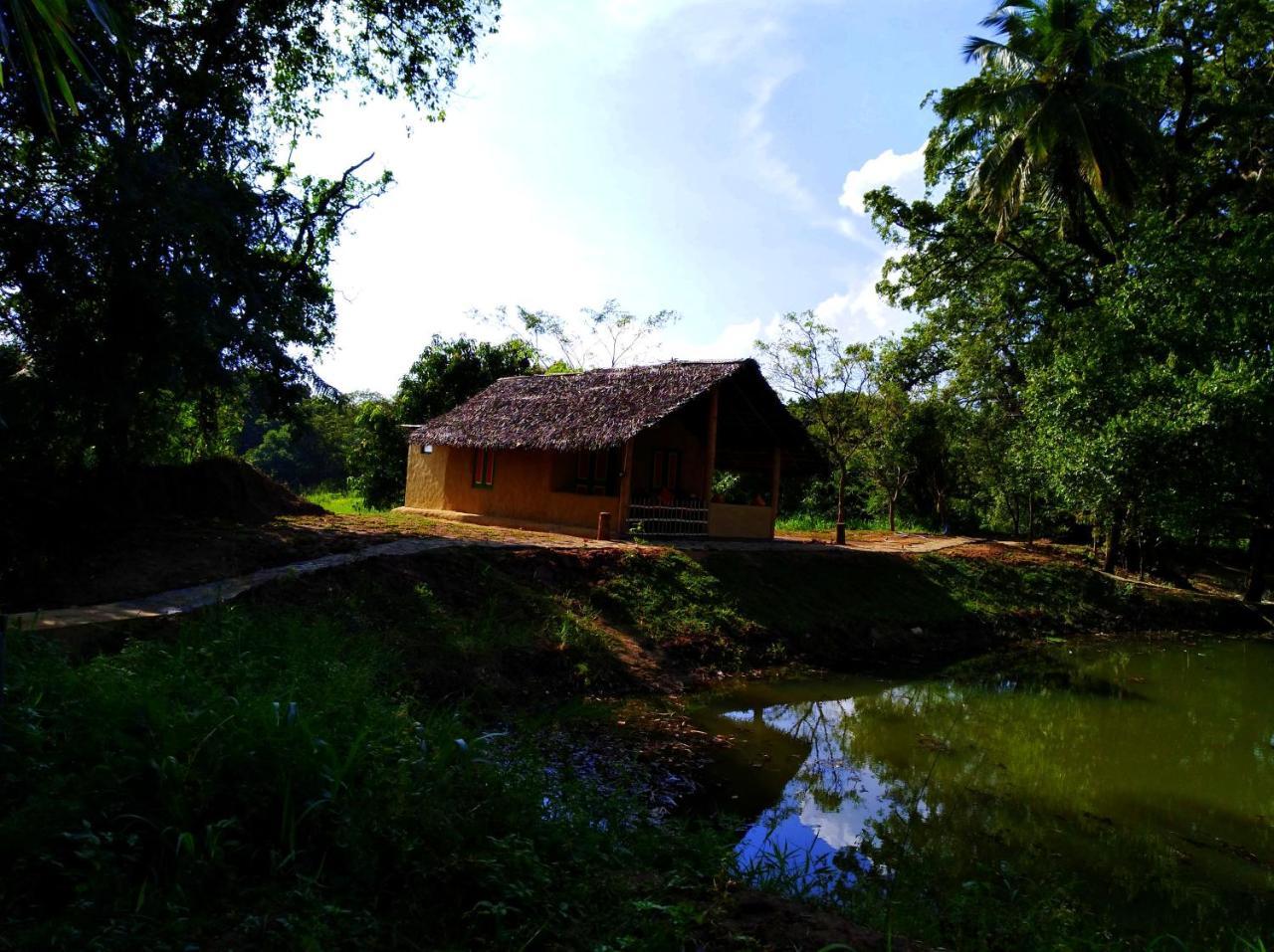Raintree Villa Dambulla Ngoại thất bức ảnh