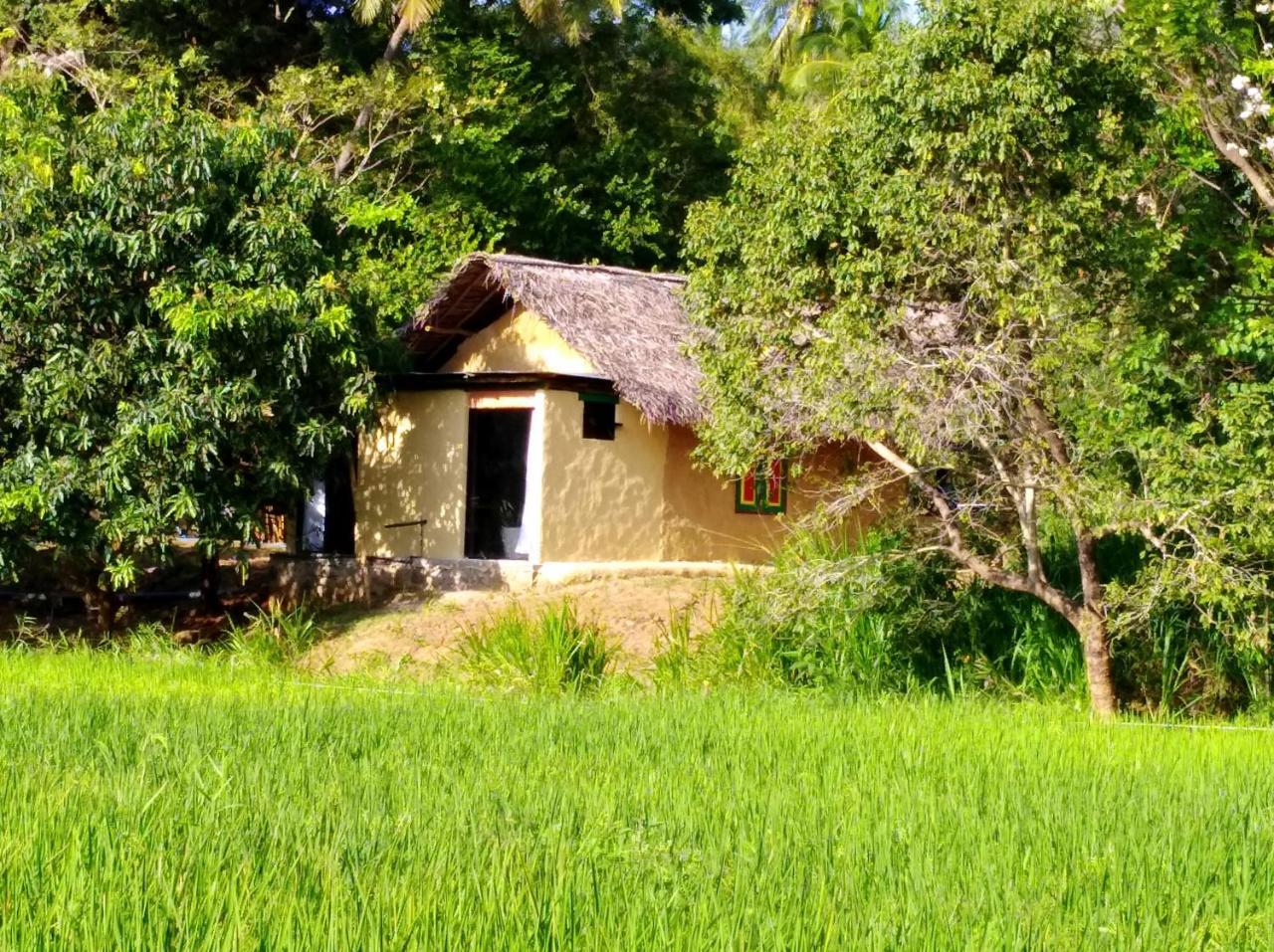 Raintree Villa Dambulla Ngoại thất bức ảnh